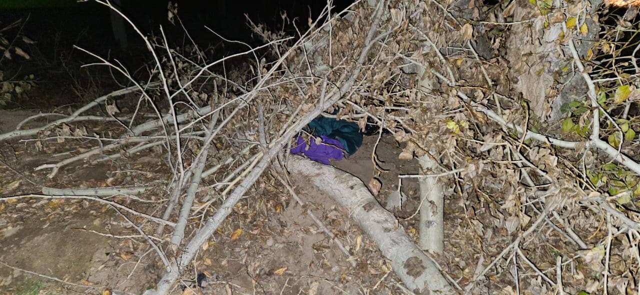 Изображение записи