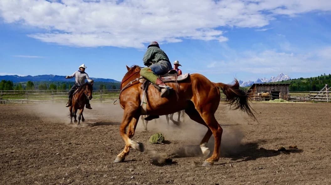 Изображение записи