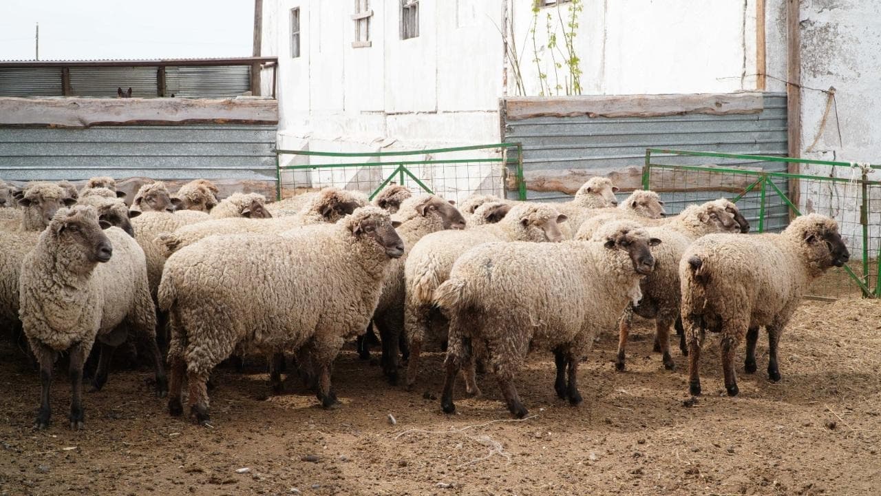 Изображение записи