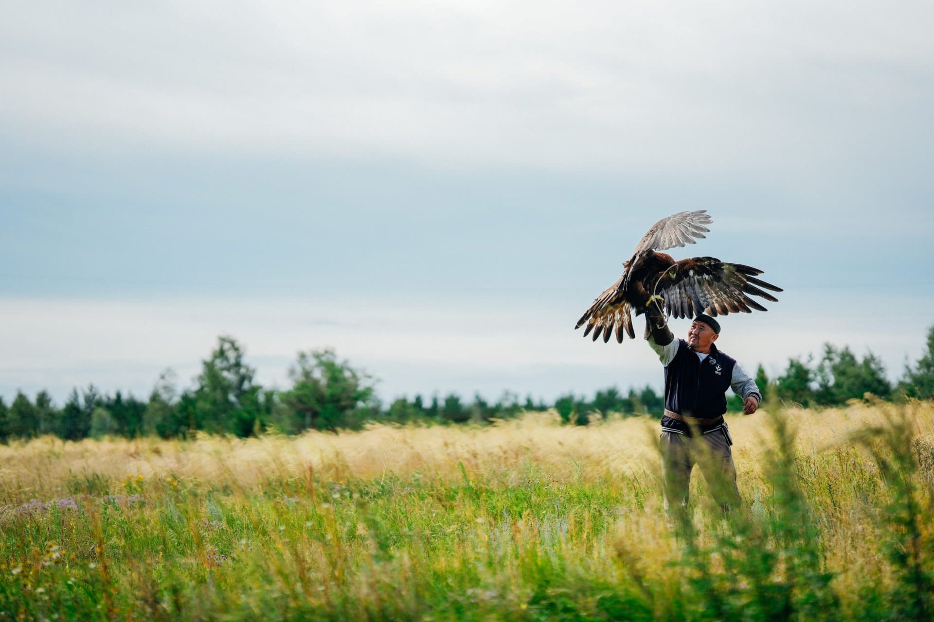 Изображение записи