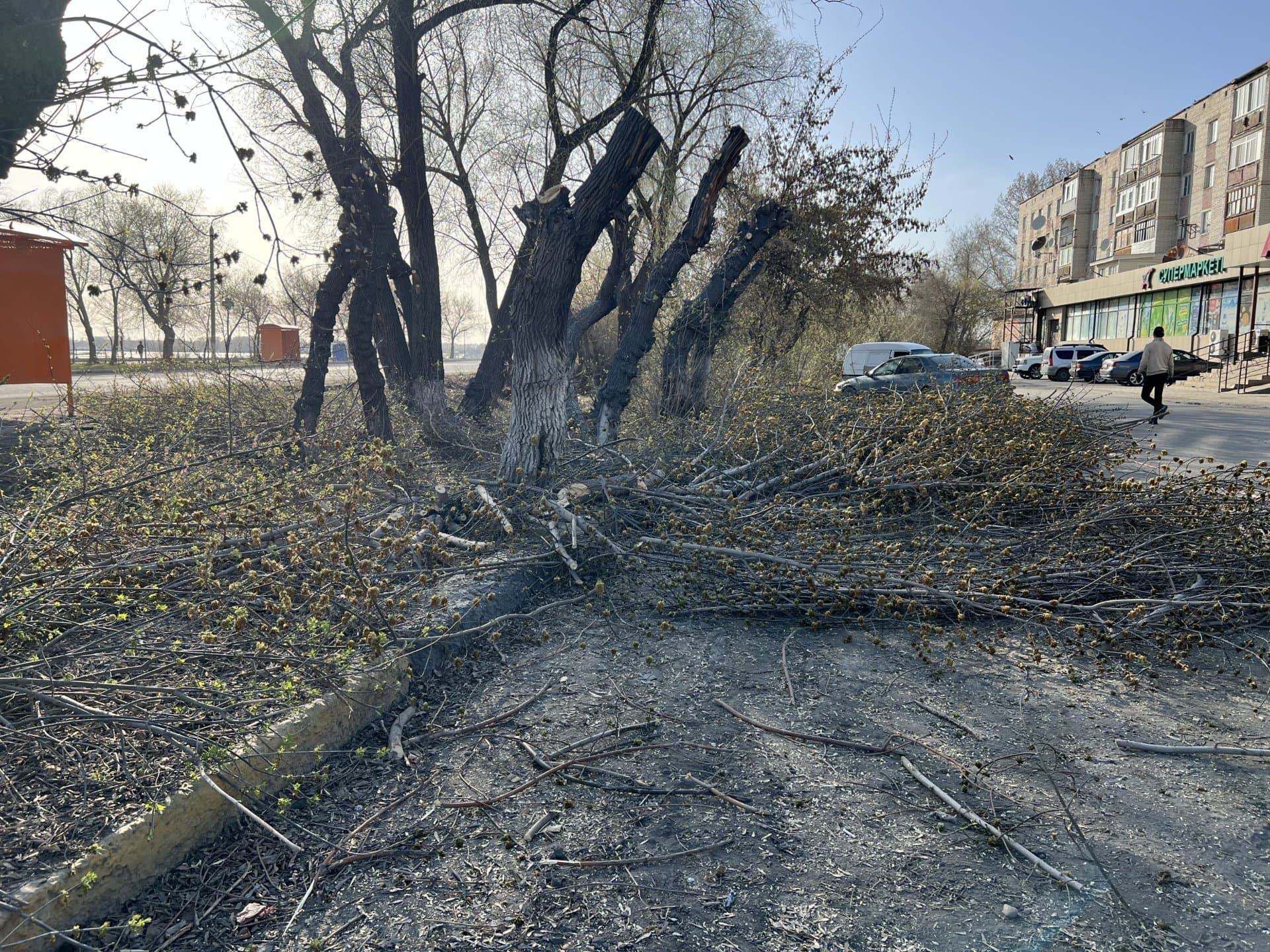 Изображение записи