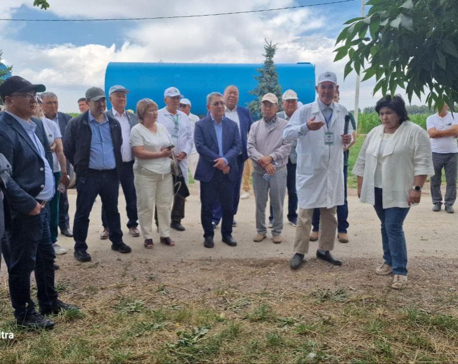 Изображение записи