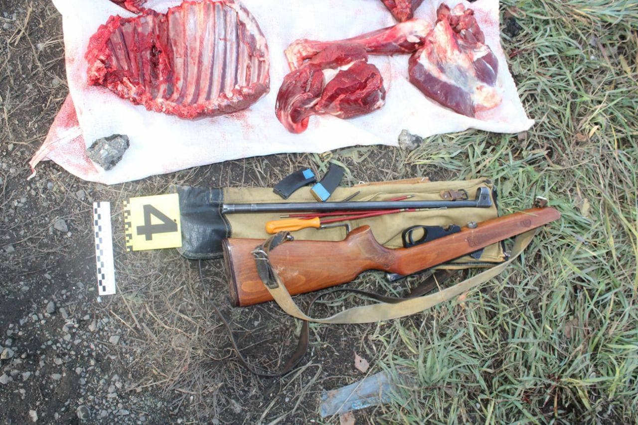 Изображение записи