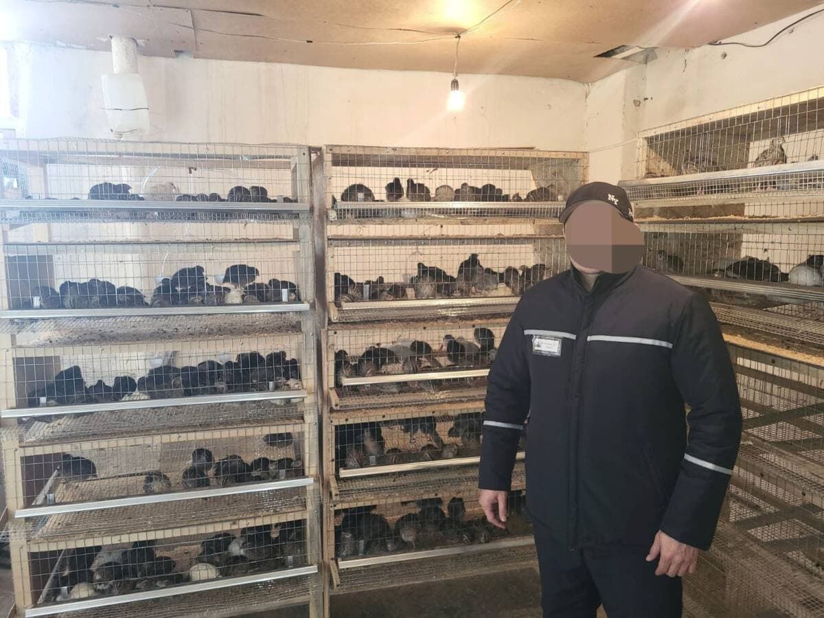 Изображение записи