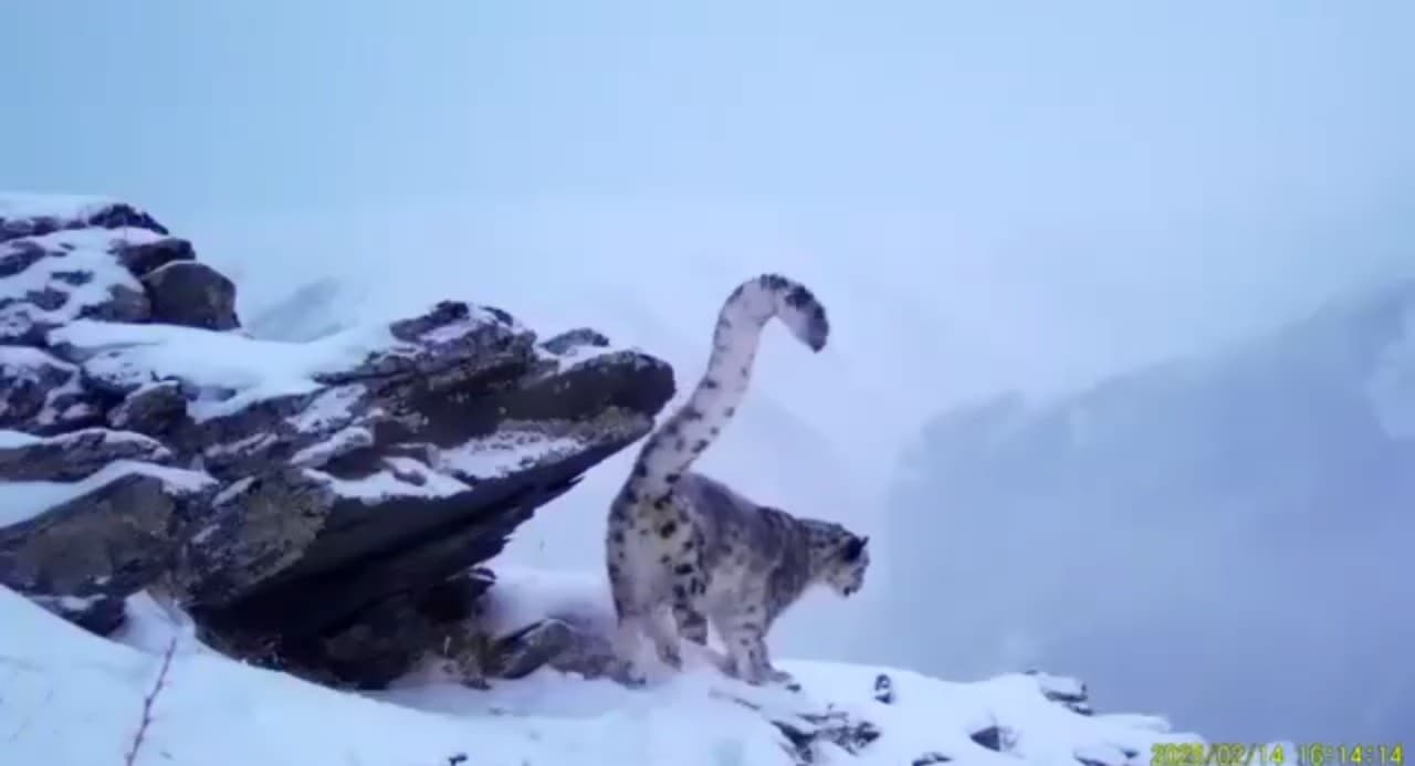 Изображение записи