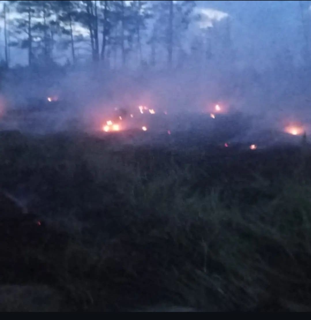 Изображение записи