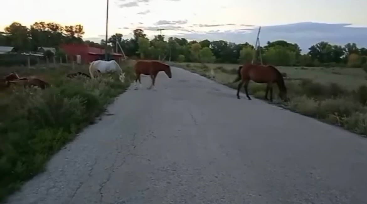 Изображение записи