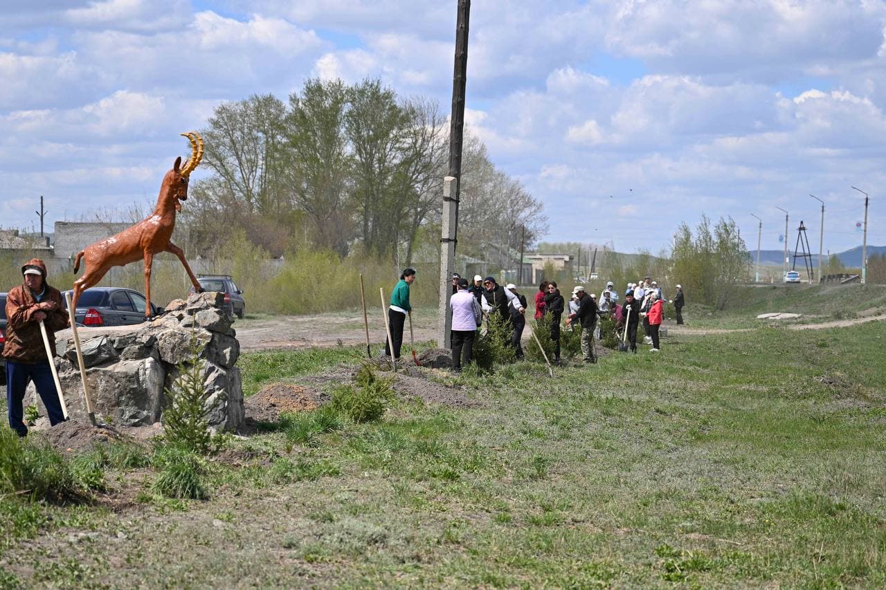 Изображение записи