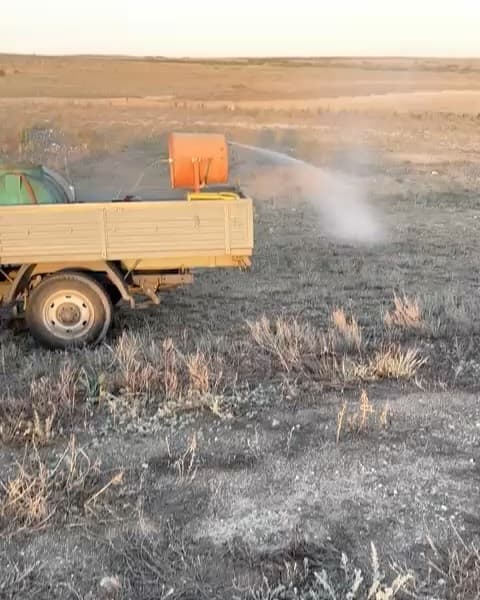 Изображение записи