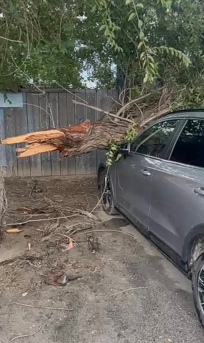 Изображение записи