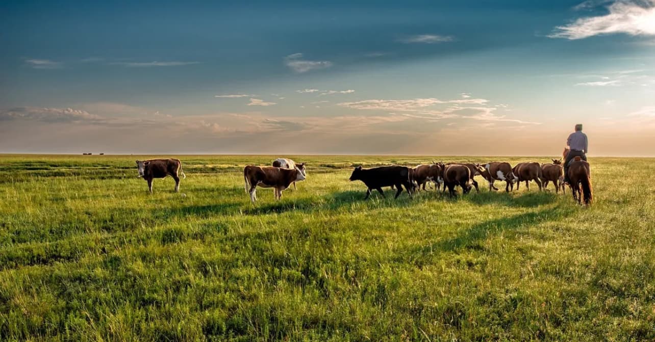 Изображение записи