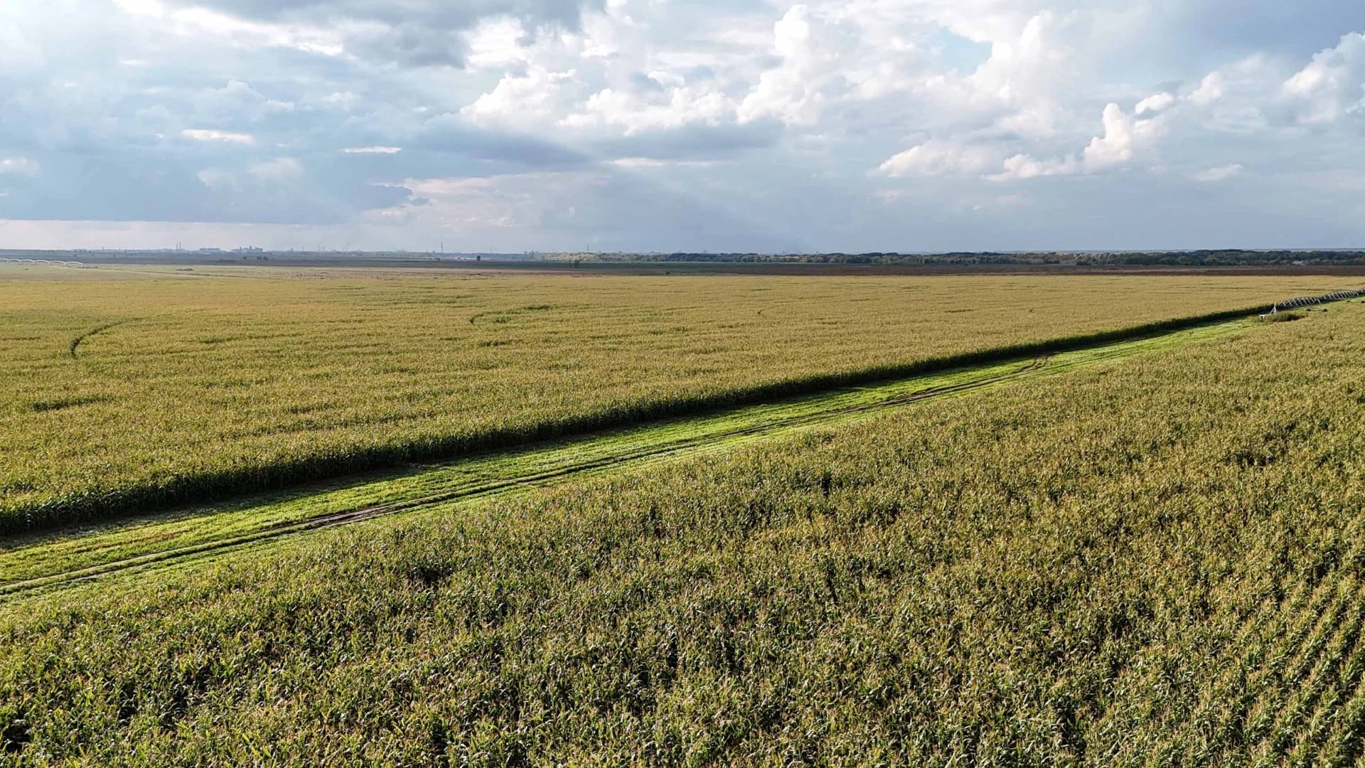 Изображение записи