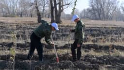 Изображение записи