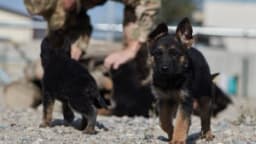 Изображение записи