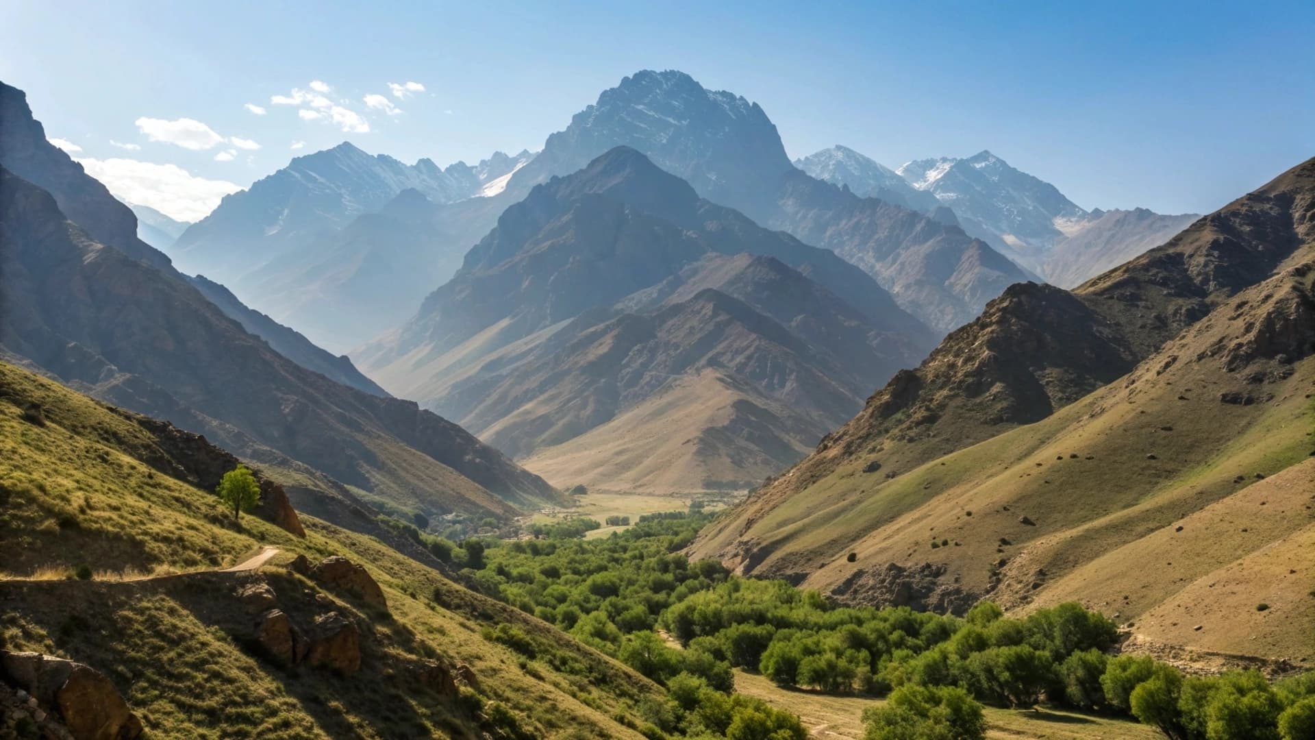 Изображение записи