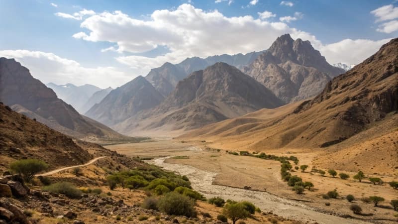 Изображение записи