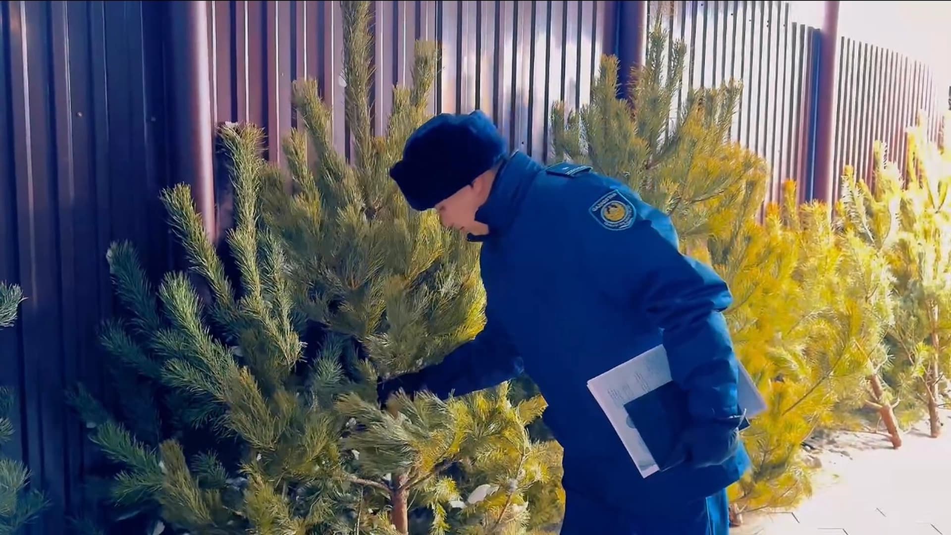 Изображение записи