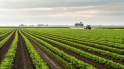 Изображение записи