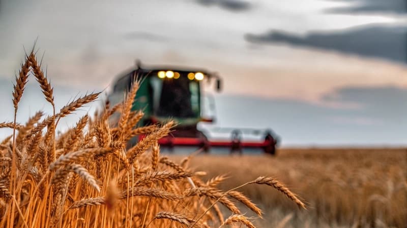 Изображение записи