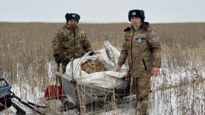 Изображение записи