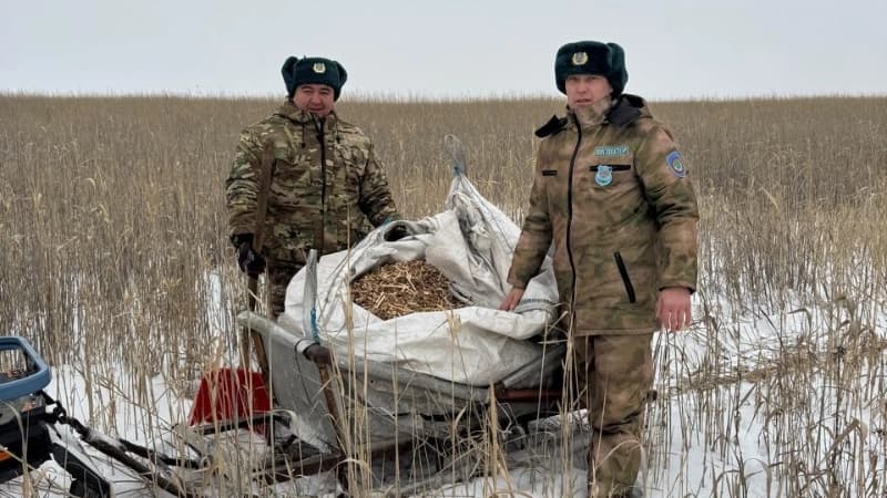 Изображение записи