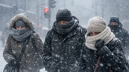 Изображение записи