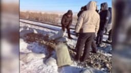 Изображение записи