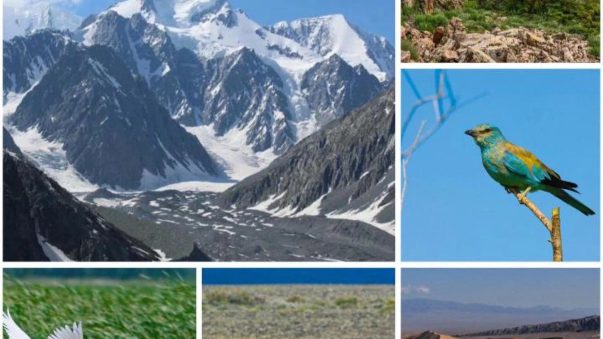 Изображение записи