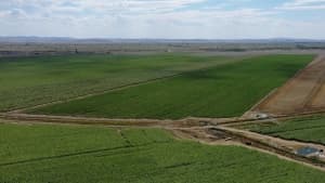 Изображение записи