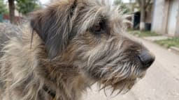 Изображение записи