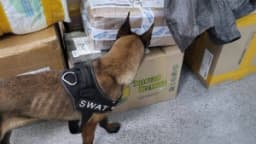 Изображение записи