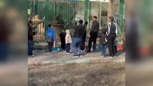 Изображение записи