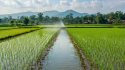 Изображение записи