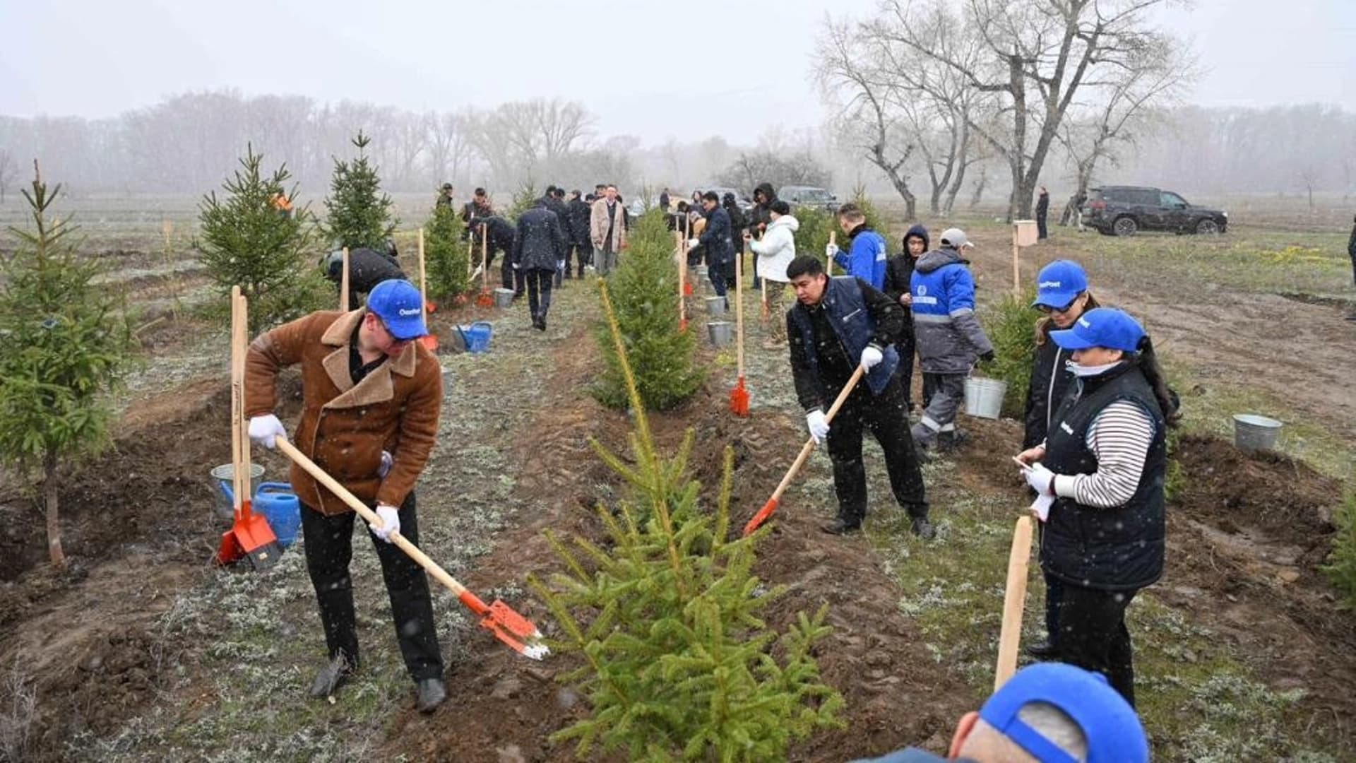 Изображение записи