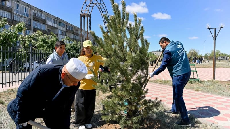 Изображение записи