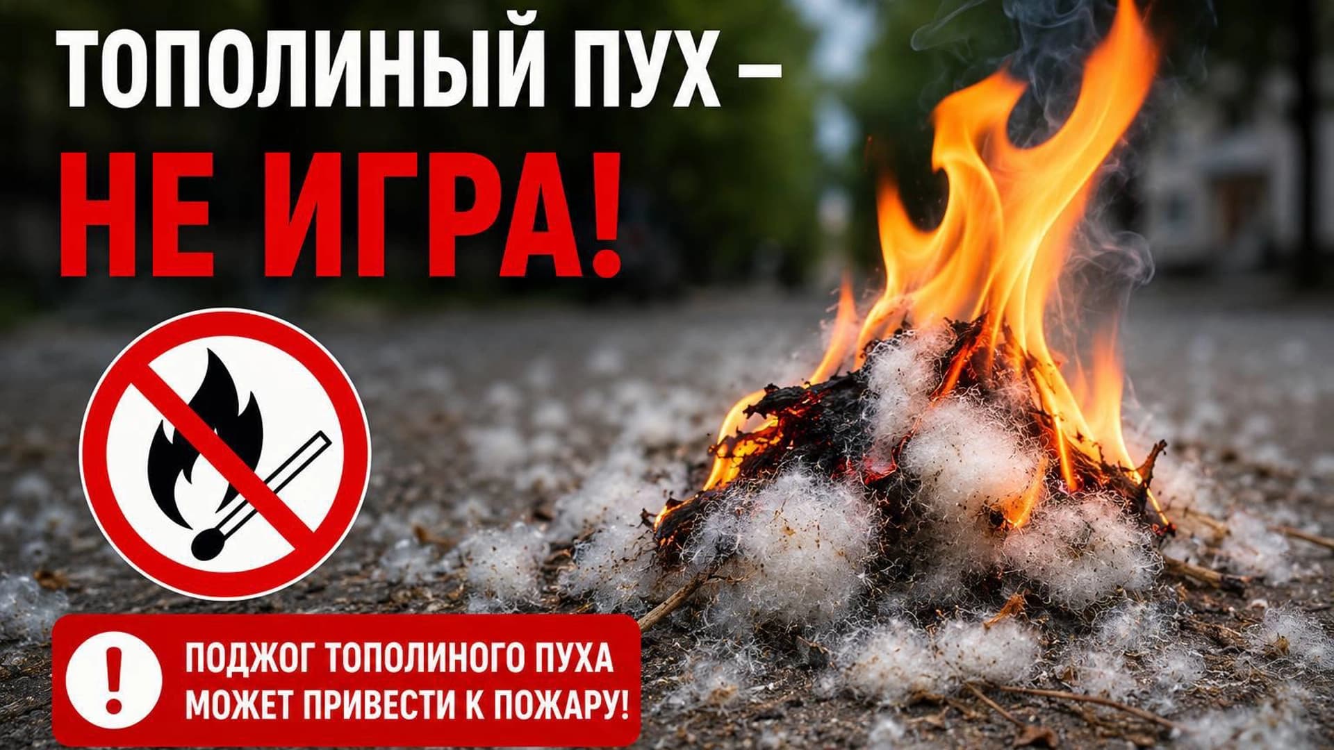 Изображение записи