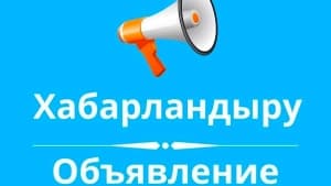 Изображение записи