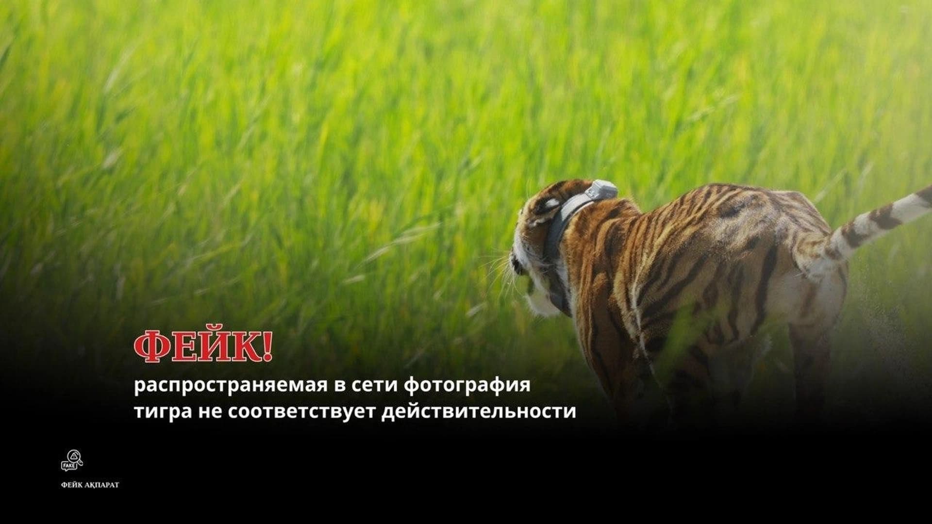 Изображение записи