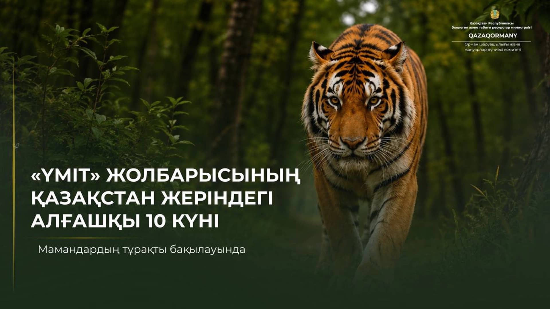 Изображение записи