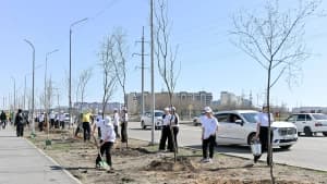 Изображение записи