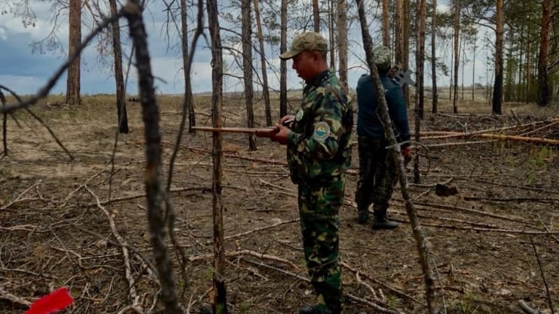Изображение записи