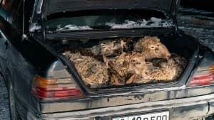 Изображение записи
