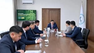 Изображение записи